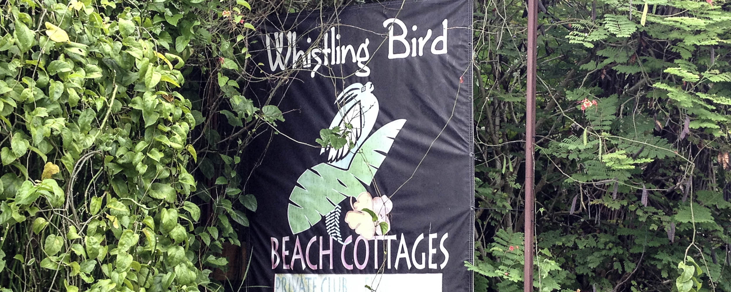 Whistling Bird Beach Cottages - Negril Jamaica