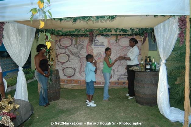 Montego Bay Sangster International Airport, Montego Bay, Jamaica W.I. - Negril Travel Guide, Negril Jamaica WI - http://www.negriltravelguide.com - info@negriltravelguide.com...!